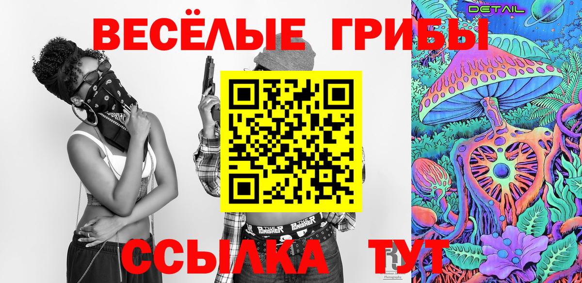 Псилоцибиновые грибы Psilocybe  что такое наркотик  Вход с VPN  Кольчугино  Псилоцибиновые грибы Cubensis 